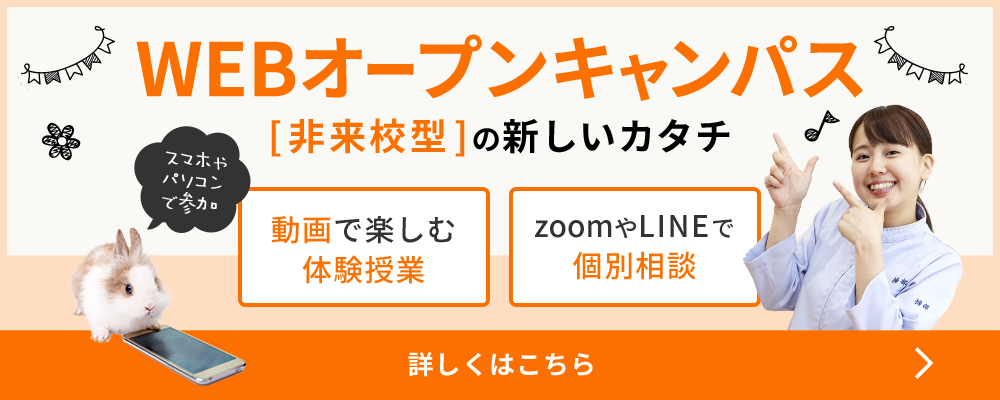 WEBオープンキャンパス [非来校型]の新しいカタチ 動画で楽しむ体験授業 zoomやLINEで個別相談 スマホやパソコンで参加 詳しくはこちら