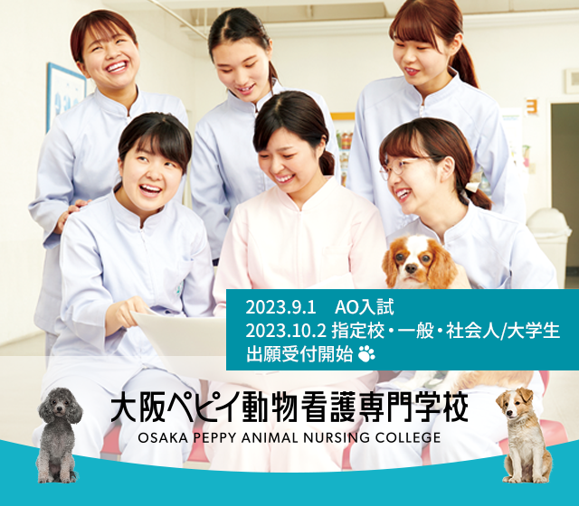 動物看護師をめざす動物看護の専門学校 大阪ペピイ動物看護専門学校