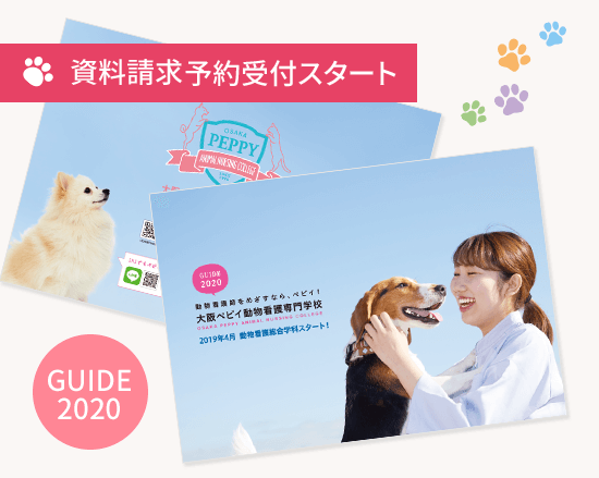 2020年度資料請求予約受付スタート