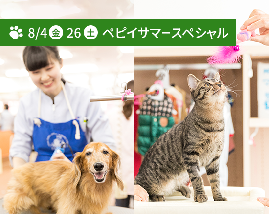 ペピイサマースペシャル