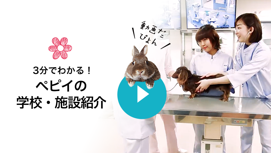 3分でわかる!ペピイの学校・施設紹介