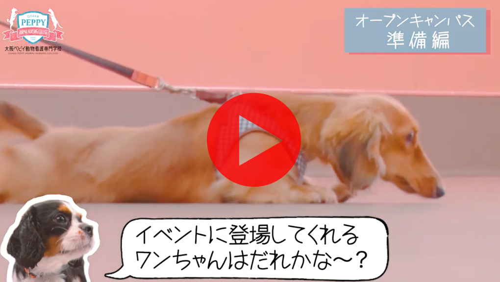 オープンキャンパスダイジェスト＿メイキング編