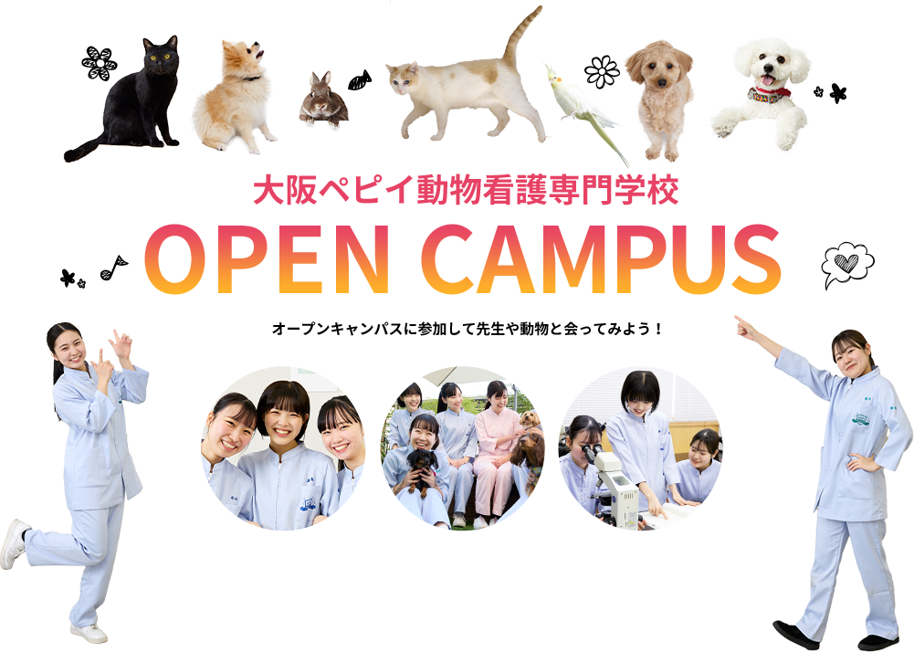 大阪ペピイ動物看護専門学校 OPEN CAMPUS