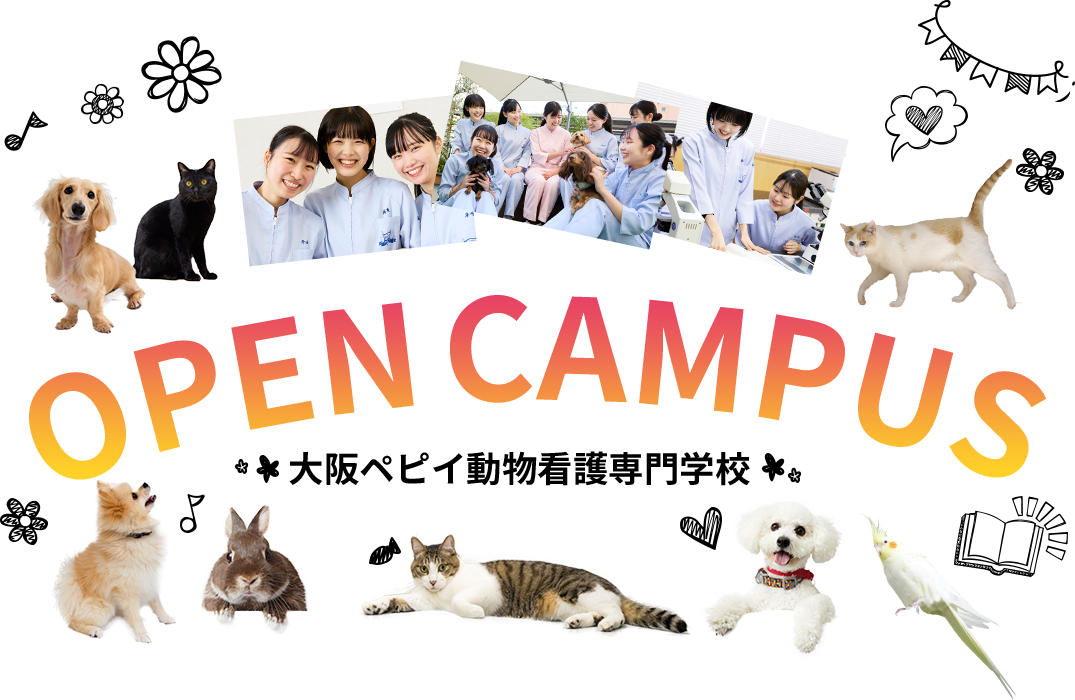 OpenCumpus 大阪ペピイ動物看護専門学校