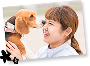 高校3年生はこちらから
