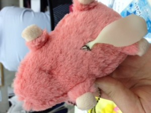 へそのお　ぶた２