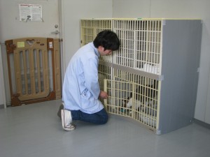 IMG_3981[1]