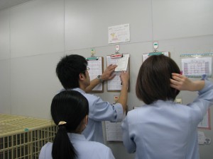 IMG_3989[1]