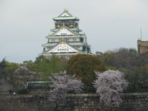 IMG_4539