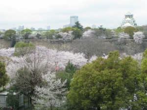 IMG_4543