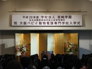 IMG_4556
