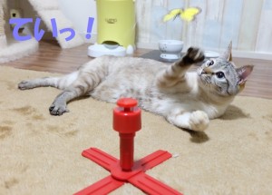 ブログ用11