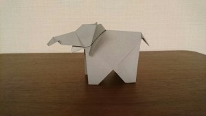 ゾウ
