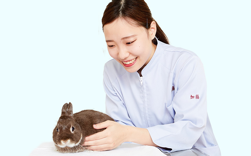 加藤 優依さんの写真