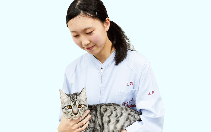 上野 美由起さんの写真