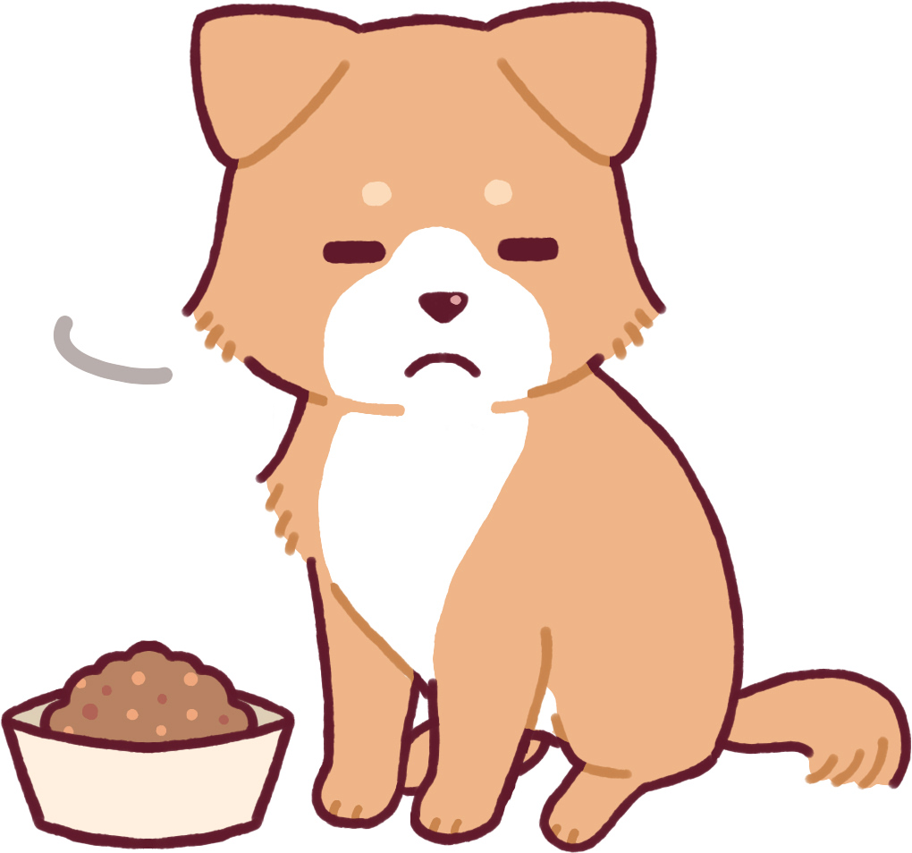 犬 猫がごはんを食べないときに行う４つの工夫 動物看護師ブログ 大阪ペピイ動物看護専門学校