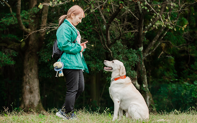 稲増さんの写真