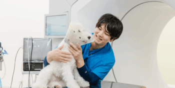 小林さんの写真